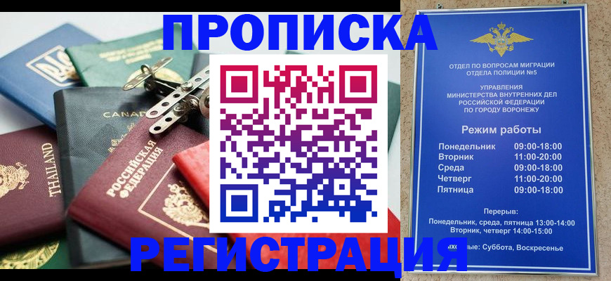 форма 3 в Соколе